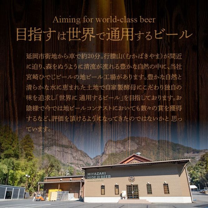 6ヶ月定期便　宮崎ひでじビール　お楽しみ6本セット　N073-YZE057