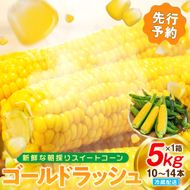 【2027年先行予約 6月下旬から出荷】 スイートコーン 約5kg 10～14本 冷蔵 国産 とうもろこし 先行予約 数量限定 コーン 野菜 新鮮 焼き 蒸し 産地 直送 甘い 甘口 子ども 子供 小分け 種子 肥料 さわやか すっきり 糖度 黄色 人気 おすすめ 愛知県 南知多町
