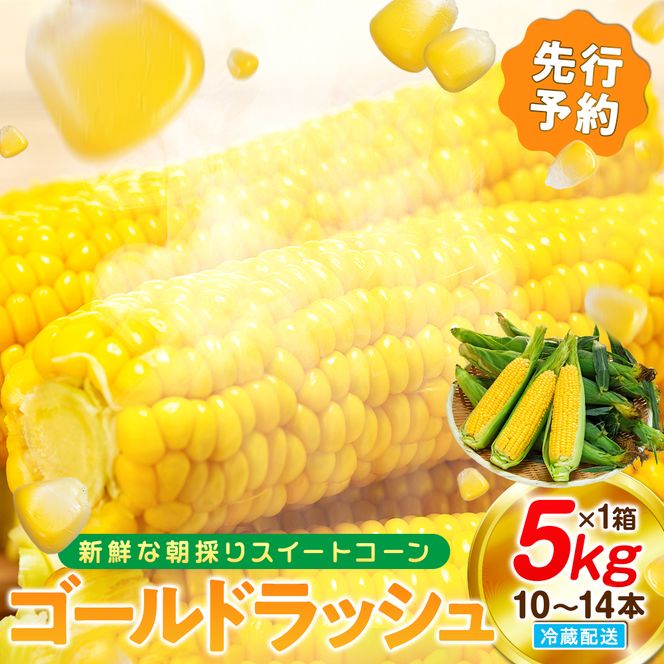 【2027年先行予約 6月下旬から出荷】 スイートコーン 約5kg 10～14本 冷蔵 国産 とうもろこし 先行予約 数量限定 コーン 野菜 新鮮 焼き 蒸し 産地 直送 甘い 甘口 子ども 子供 小分け 種子 肥料 さわやか すっきり 糖度 黄色 人気 おすすめ 愛知県 南知多町