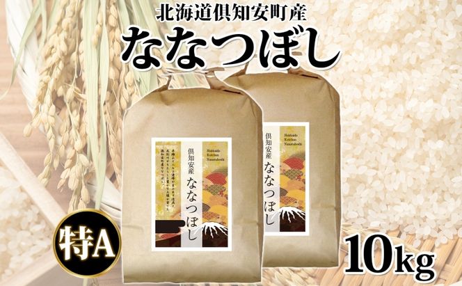 北海道 倶知安町産 ななつぼし 精米 5kg×2袋 計10kg 米 特A 白米 お米 道産米 ブランド米 契約農家 ごはん ご飯 あっさり ふわふわ 国産 人気 お取り寄せ ギフト 贈り物 備蓄 保存 おまとめ買い ショクレン 送料無料 倶知安 
