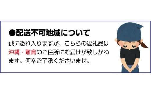 甘さが違う！とっても甘くなる生渋柿（平たねなし柿）吊るし柿用 T字枝or吊るしクリップ付 約2.5～3kg 約9～18個 １０月下旬～順次発送-Ted(日付指定不可) 【art040】