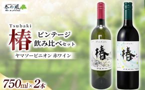 ヤマソービニオン 赤ワイン（椿）【ビンテージ】飲み比べ750ml×2本セット