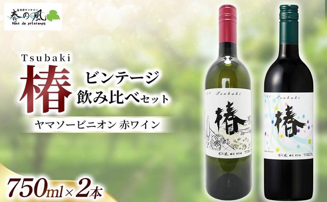 ヤマソービニオン 赤ワイン（椿）【ビンテージ】飲み比べ750ml×2本セット