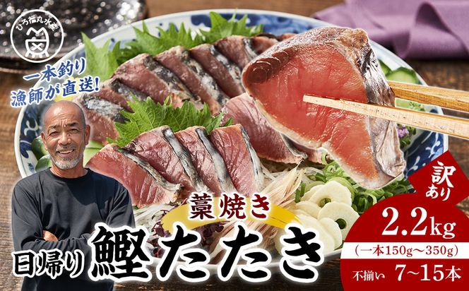 かつお一本釣り漁師が直送！ 日帰りかつおの藁焼きたたき 訳あり 2.2kg入 304018_DT05