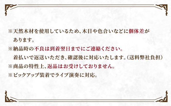 アフロディーテの竪琴　リーアノンモデル 楽器 愛知県 日進市