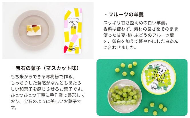 【UCHU wagashi】フルーツの羊羹＋宝石の菓子・マスカット ギフトセット｜京都 創作和菓子 人気店 おしゃれ［ 贈り物に最適 新しい和菓子 ギフト包装 お渡し袋付き フルーツ羊羹＋もっちりマスカット 可愛い おしゃれ 人気 おすすめ ギフト プレゼント お取り寄せ 通販 送料無料 ふるさと納税 ］ 261009_B-XT01