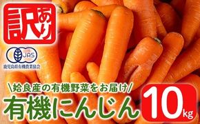 a992 《訳あり》《先行予約受付中！2026年12月上旬～2027年3月上旬の間に発送予定》有機人参 (10kg)【今村農園】姶良市 国産 有機栽培 有機 野菜 やさい にんじん ニンジン 訳アリ