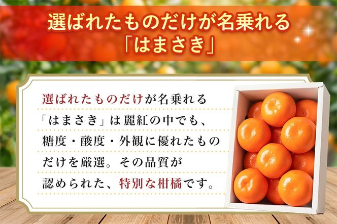 【2027年2月上旬より発送開始】【麗紅】はまさき 2.5kg【みかん 一級品 柑橘 フルーツ デザート】(H116144)