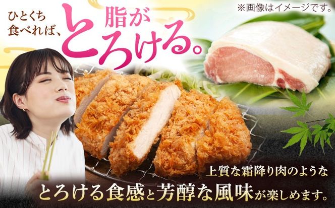 沖縄県産豚肉 くいまーる豚 ロースブロック 約1.8kg (900g×2P) 豚肉 ロース ブロック ブロック肉 小分け 冷凍 国産 沖縄市 / 宮城ふぁーむ[BCAJ005]
