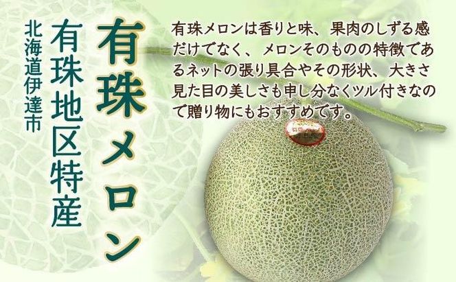 ＜2026年先行予約＞北海道産 有珠メロン 2玉 セット 赤肉 Lサイズ 1.6kg以上×2玉 ツル付き レッドルピア 果物 めろん フルーツ くだもの 完熟 旬 ご褒美 ギフト お祝い 産地直送 お取り寄せ 北海道 藤川農園 送料無料 伊達