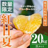 ＜先行予約受付中！2027年3月上旬以降順次発送予定＞数量限定！鹿児島県産 紅甘夏 (20kg・2L) 柑橘 フルーツ 果物 国産 みかん 期間限定 数量限定 ベニアマナツ ミカン 旬 【株式会社土曜日】akn069-11