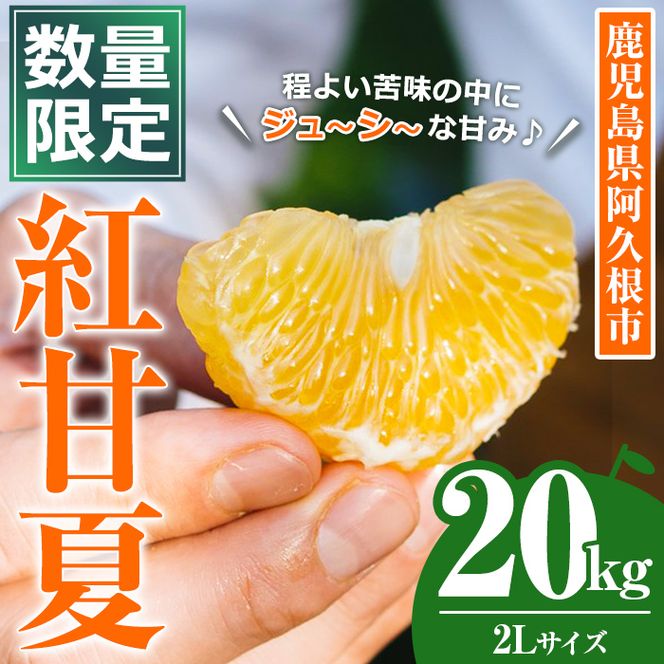 ＜先行予約受付中！2027年3月上旬以降順次発送予定＞数量限定！鹿児島県産 紅甘夏 (20kg・2L) 柑橘 フルーツ 果物 国産 みかん 期間限定 数量限定 ベニアマナツ ミカン 旬 【株式会社土曜日】akn069-11