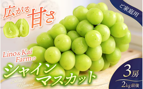 【2026年先行予約】 【ご家庭用】 Lino＆Kai Farmのシャインマスカット 3房前後(2kg程度）化粧箱入 / 朝採れ ぶどう 岡山 真庭市 シャインマスカット 高級 ギフト 大粒 果物 贈答 人気 産地直送 国産 数量限定 種なし 【linokai002-02】