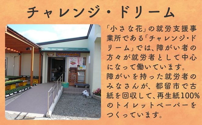 【ダブル100ロール】オリジナルトイレットペーパー　ドリームロール　BF004