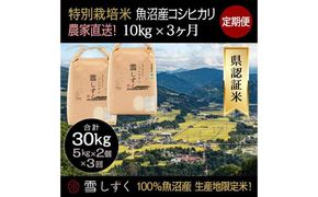 【令和8年産】定期便！農家直送！県認証特別栽培魚沼産コシヒカリ【合計30kg】毎月10kg×3回 精米 ご飯 ブランド米 銘柄米