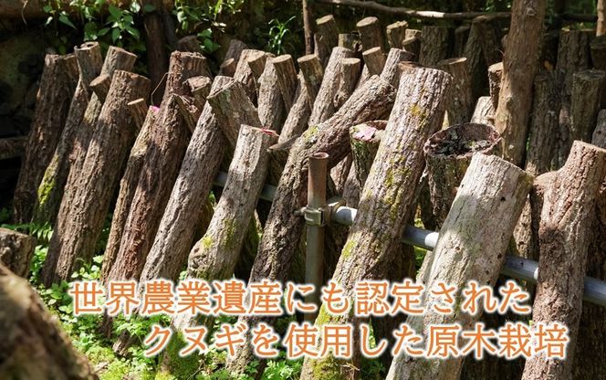 小分けで便利！ 国東のしいたけ 使い切りサイズ 20g×10P 大分 椎茸 乾燥しいたけ 小袋 個包装_2683R