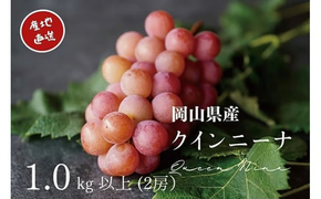 【2026年先行予約】 厳選ぶどう 岡山県産 クイーンニーナ 1.0kg以上（2房） 産地直送 朝採れ新鮮！ / ぶどう 葡萄 クイーンニーナ 先行予約 フルーツ 果物 岡山 真庭市 甘い 希少 珍しい 新鮮 樹上完熟 【kgftmt005-02】