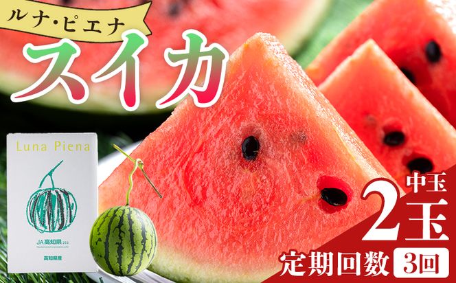 スイカ 定期便 (中玉) 2玉 【3回定期便】ルナ・ピエナスイカ Wyu-0039