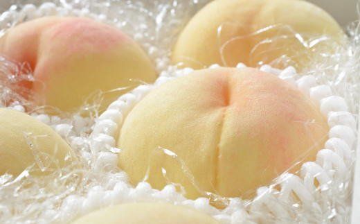 【農園直送】朝採れ和歌山の桃　約2kg・秀品【2027年度発送分】※2027年6月下旬～2027年8月上旬頃順次発送【tec910B】
