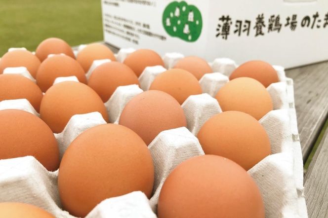 yȖ،vqz_eʁ^炿̐Ԃ܂75 |Ȗ، vq ӂ邳Ɣ[ ܂  ^}S Ԃ܂ lC Z H׃`N (BC008)