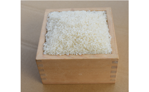 D548 阿武川源流米きぬむすめ白米5㎏