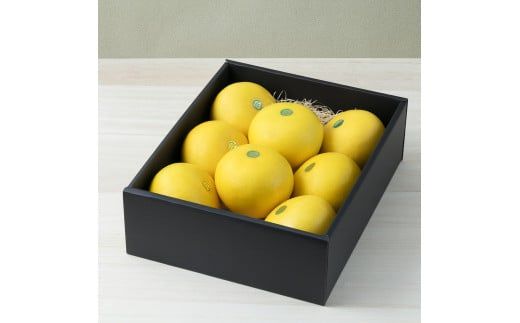 【先行予約】秀品 ☆高知産 土佐文旦☆ 3L 8玉入【贈答用】〈2027年1月下旬頃より順次発送〉/ 柑橘 フルーツ 先行予約 ぶんたん ブンタン 果物 お取り寄せ【TAMURAKAJUEN】