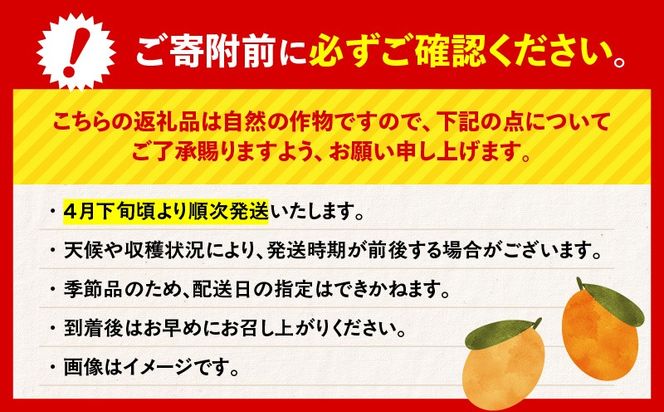 ＜容量選べる＞旬の朝採り！ 鹿児島 桜島産びわ 1箱（訳あり品）　K343-002_SKU