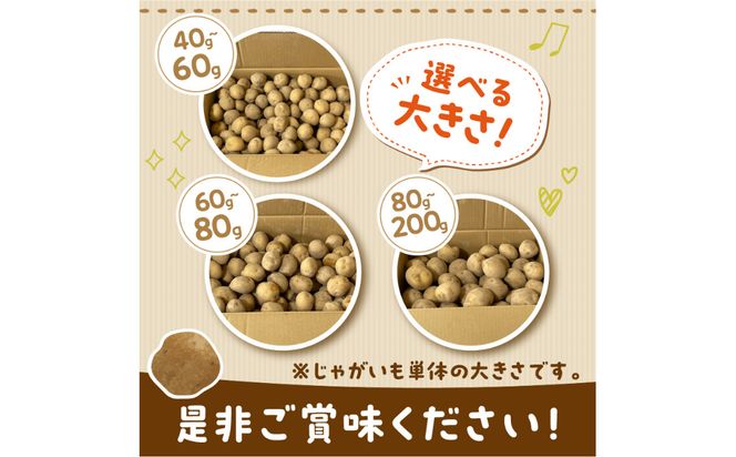【予約：2026年2月上旬から順次発送】【選べる3サイズ】宇野さんの手拾い、手選別の越冬ジャガイモ 1kg ( 芋 野菜 選べる )【167-0001-2026】