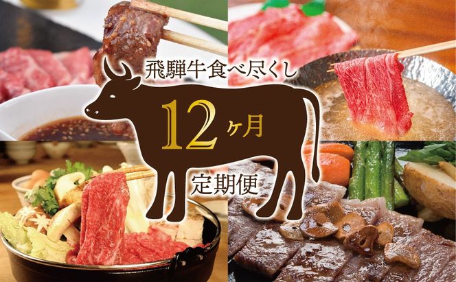 AB-61 【12か月定期便】飛騨牛食べ尽くし