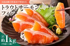 トラウトサーモンフィレ1.0～1.3kg_S042-0002