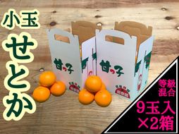 ［2箱セット］甘っ子 小玉 ハウス せとか 9玉入 × 2箱 手さげ箱 南泰園 BS173
