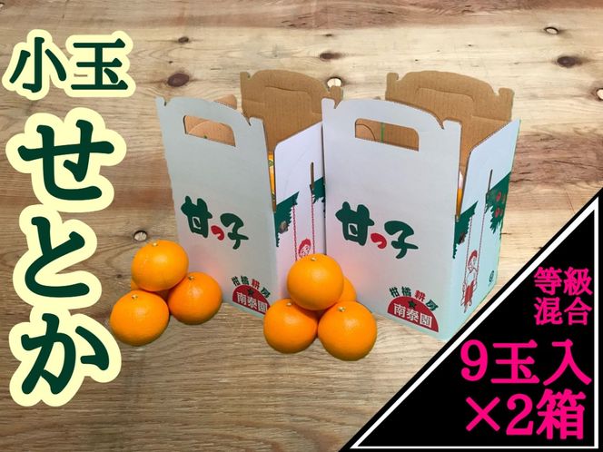 ［2箱セット］甘っ子 小玉 ハウス せとか 9玉入 × 2箱 手さげ箱 南泰園 BS173