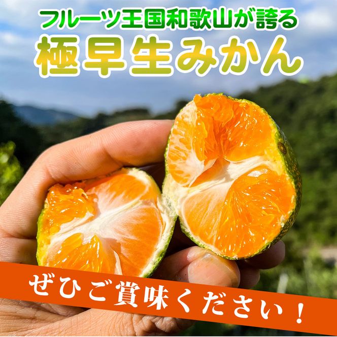 EA6103_【2026年先行予約】和歌山県限定の極早生みかん 2kg (YN-26 大小混合)