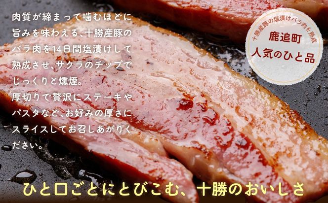 【定期2ヶ月】十勝産豚のバラ肉ベーコン 1kg×1 SKD028