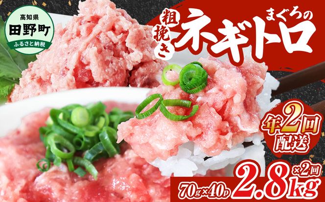 ～四国一小さなまち～ ≪カネアリ水産≫ まぐろのネギトロ 2,800g（70g×40パック）×年2回配送 ねぎとろ 鮪 マグロ キハダマグロ まぐろたたき 粗挽き 小分け パック 海鮮 魚介 便利