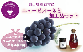 【2026年先行予約】花笑み農園　岡山の『ピオーネ&ラムピオーネジャム&飲む酢』 【hana071-02】