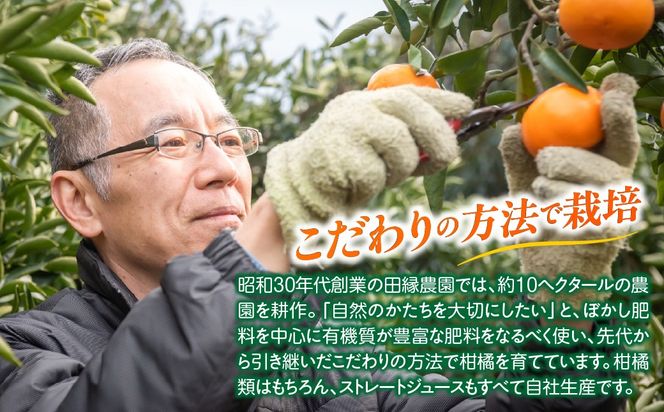 【愛媛県産】田縁農園の無添加100%ジュース 3本セット（720ml×3本/みかん1、せとか1、不知火1） ストレート果汁100％ IKTA007
