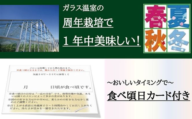 数量限定！『クラウンメロン 山等級 ”極みメロン” 2玉』 【桐箱入】 人気 厳選 ギフト 贈り物 デザート グルメ 果物 袋井市 果物類 メロン青肉 フルーツ 