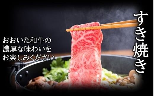 おおいた和牛 もも赤身うす切り 約300g（1パック）_2480R