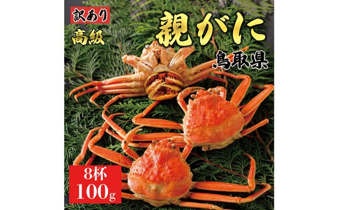 y挧khz1072.y2025N11z挧Y  e pyZRKjzi䥁jy󂠂z100g 8t 313726_BS080