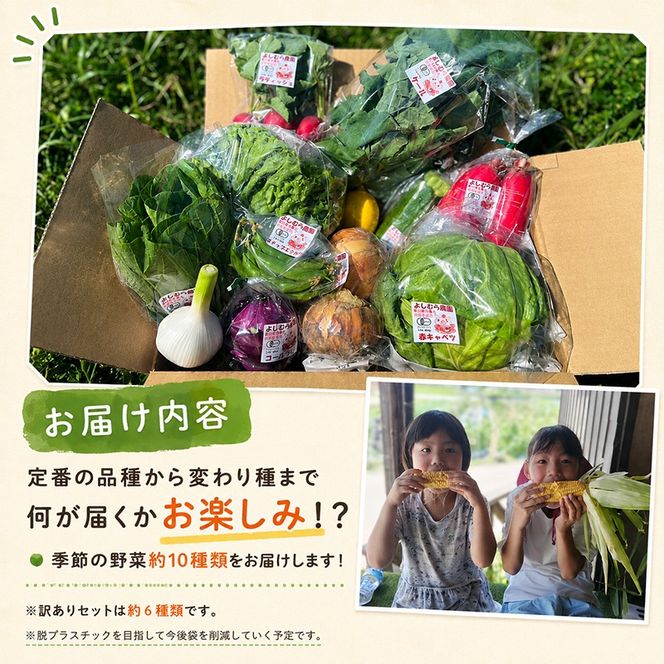 野菜 定期便 4回 詰め合わせ 10種 よしむら農園 オーガニック 有機 有機野菜 やさい ベジタブル おまかせ セット 一人暮らし おすすめ レタス とうもろこし トマト 有機栽培 JAS 栄養 贅沢 国産 大容量 人気 新鮮 今が旬 香川県 丸亀市