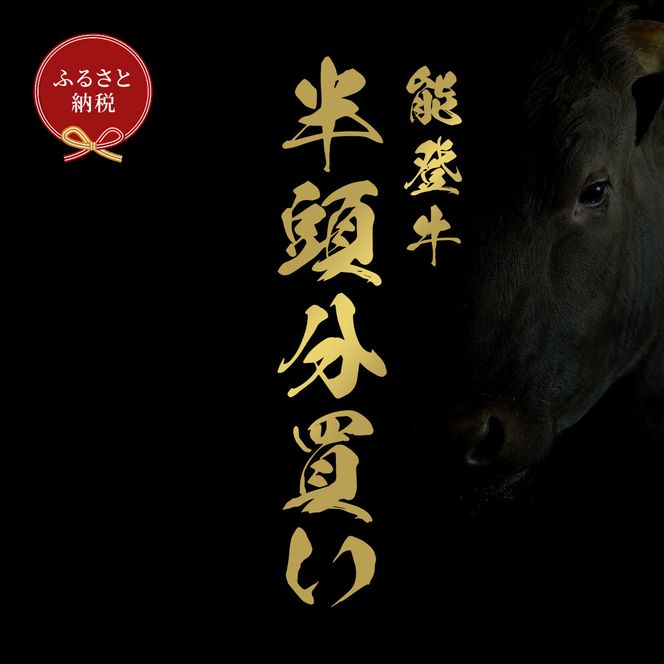 肉【和牛セレブ】能登牛 半頭買い（12分割配送）黒毛和牛 霜降り ギフト 石川県 能美市 172111_DB051