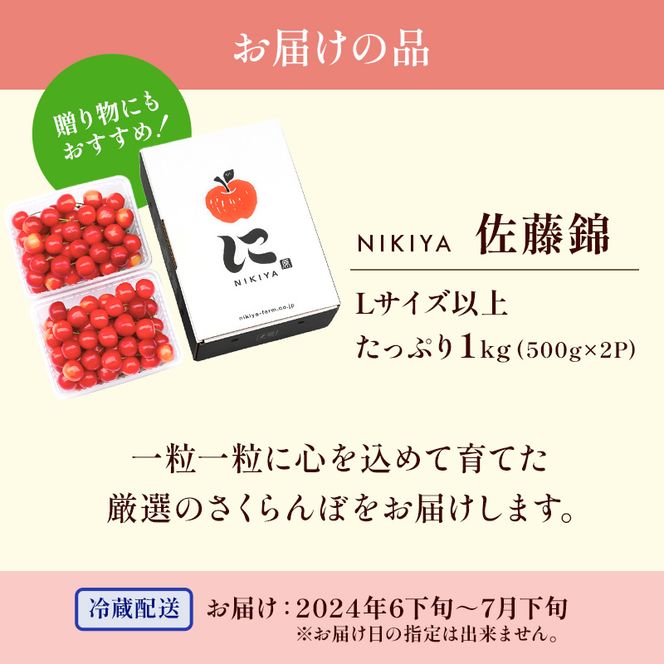 先行受付 北海道 仁木町産 さくらんぼ 佐藤錦 1kg（500g×2）Lサイズ以上 ジューシー 旬のフルーツ 旬の果物 国産 日本産 サクランボ チェリー フルーツ 果物 果物類 ギフト 仁木町 [ジャパーナプランニング株式会社]