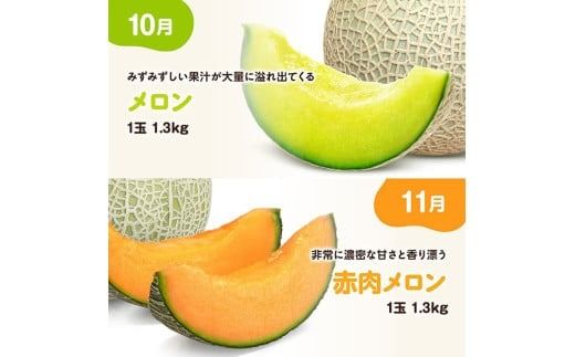 ※期間限定※【3ヶ月定期便】メロンといちごの定期便Vol.1【 川南町産 くだもの メロン いちご イチゴ  】☆[C11710t3]
