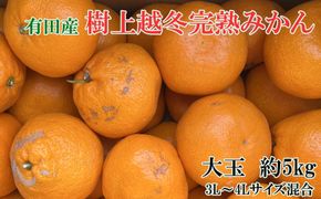 [先行予約]［濃厚・まろやか］有田産樹上越冬完熟みかん大玉約5kg（3L・4Lサイズ・秀優混合品）★2027年1月下旬頃より順次発送  	BZ143