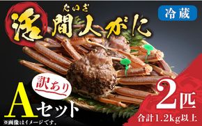 （訳あり）活間人がに 2匹 Aセット　11/10～11/21発送予定 平七水産　間人がに 間人ガニ 間人蟹 たいざがに たいざガニ　HI00007_01