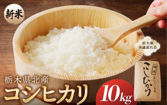 ns091-001 【令和7年度産】栃木県北産コシヒカリ 10kg入【栃木県共通返礼品】