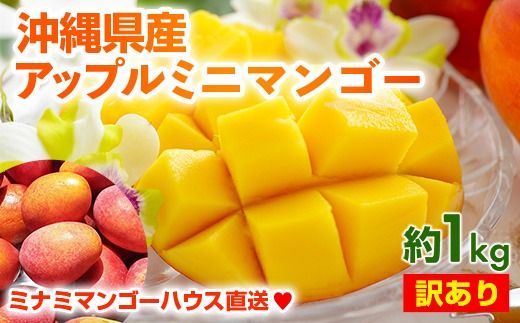 [2025年発送]ミナミマンゴーハウスのアップル ミニマンゴー約1kg[訳あり]- 訳アリ 沖縄県産 産地直送 南国フルーツ 旬の味覚 アップルマンゴー ご自宅用 オススメ 沖縄県 八重瀬町