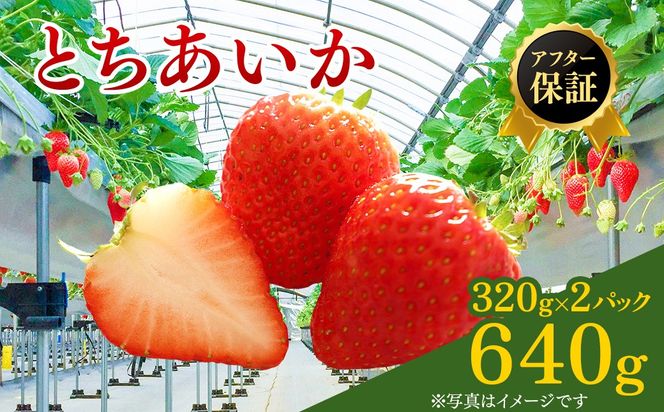 【先行予約】いちご市 鹿沼の美味しい「い」「ち」「ご」とちあいか 15粒入り320g 2パック（2月発送） ｜ イチゴ 苺 フルーツ 果物 甘い うまい 日本一 品質 ビタミンC 果実 かぬま ※沖縄・離島への配送不可 ※2026年2月上旬～2月下旬頃に順次発送予定