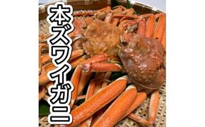 【11月順次発送】【訳あり】浜茹で 本ズワイガニ 足欠「雄ガニ 2杯（約600g）」 1043006 蟹 かに ずわい蟹 ズワイガニ